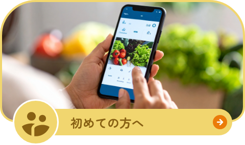 ショッピングガイド