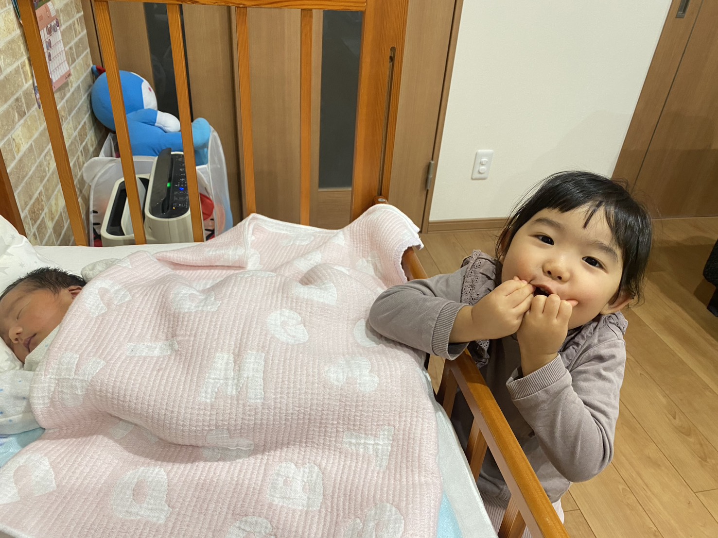 https://moriyama-nojyo.com